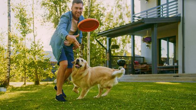 How to Stop Your Dog From Peeing on the Bed