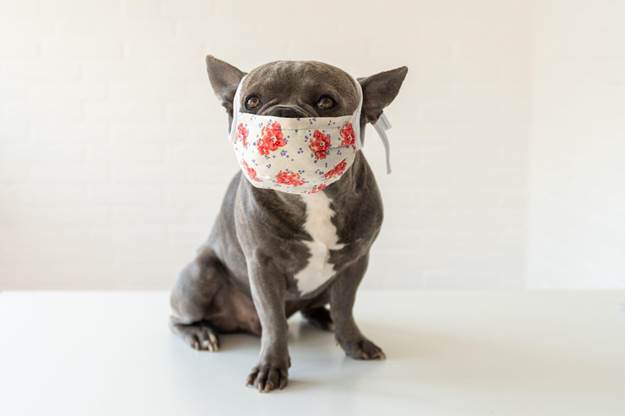 Respiratory Infections