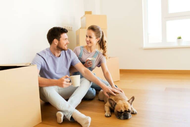 Dog’s Behavior