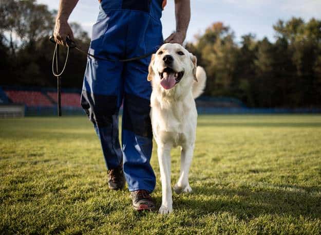 Find the Right Training Program