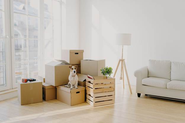 5 Ways to Help Your Dog Adjust After Moving to a New Home