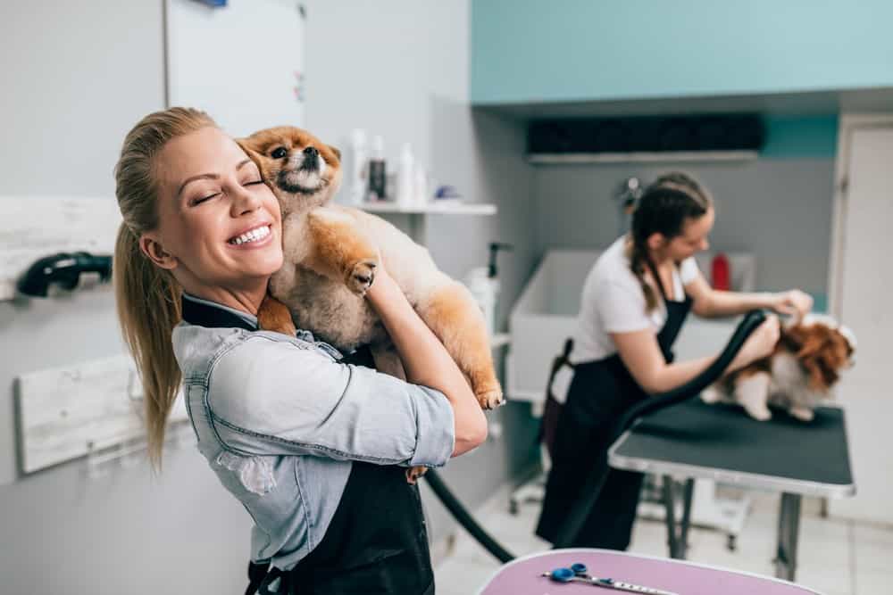 groomer loving dog