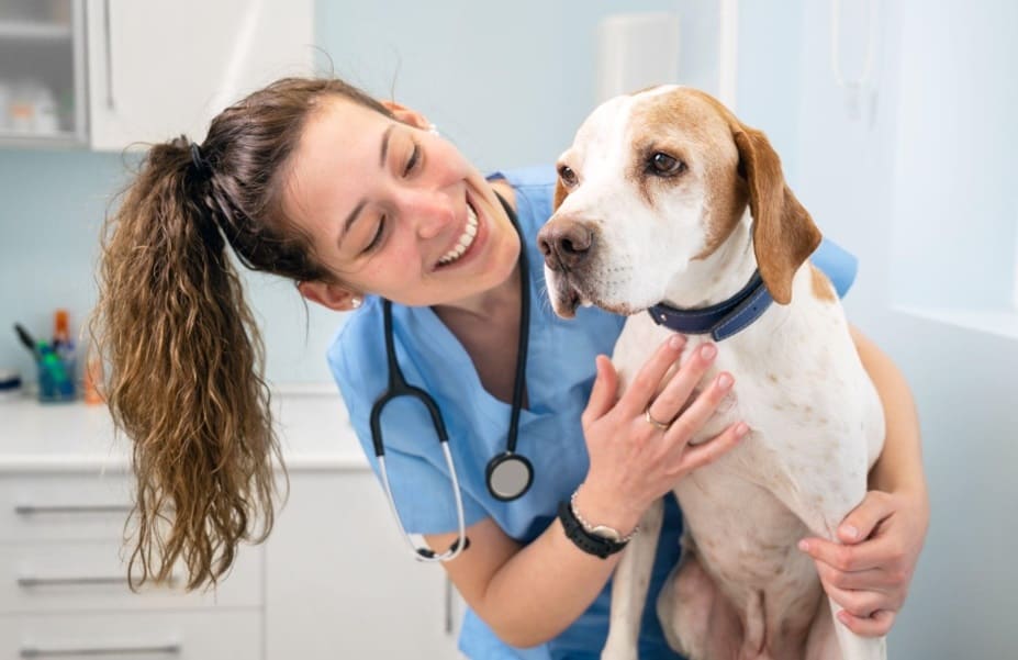 smiling vet with dog