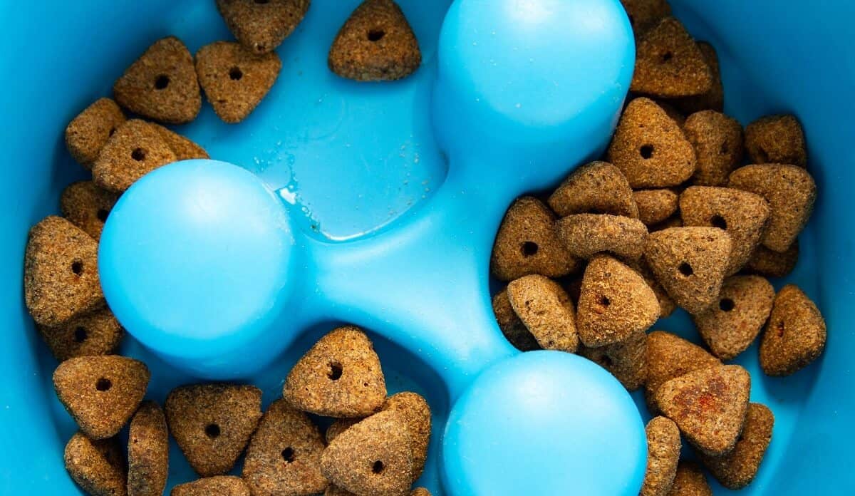 blue slow feeder bowl