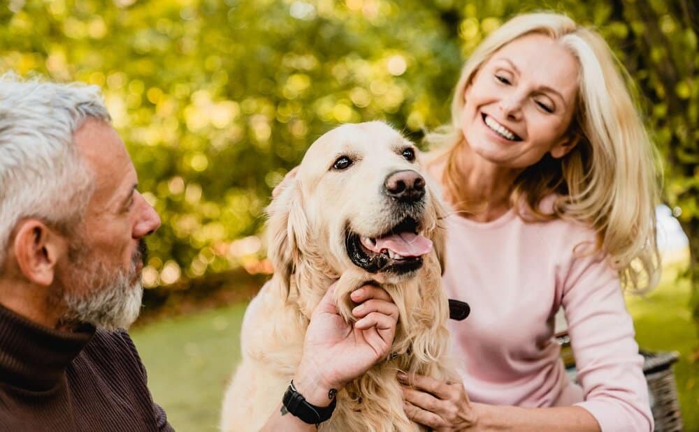 dog enjoying with family