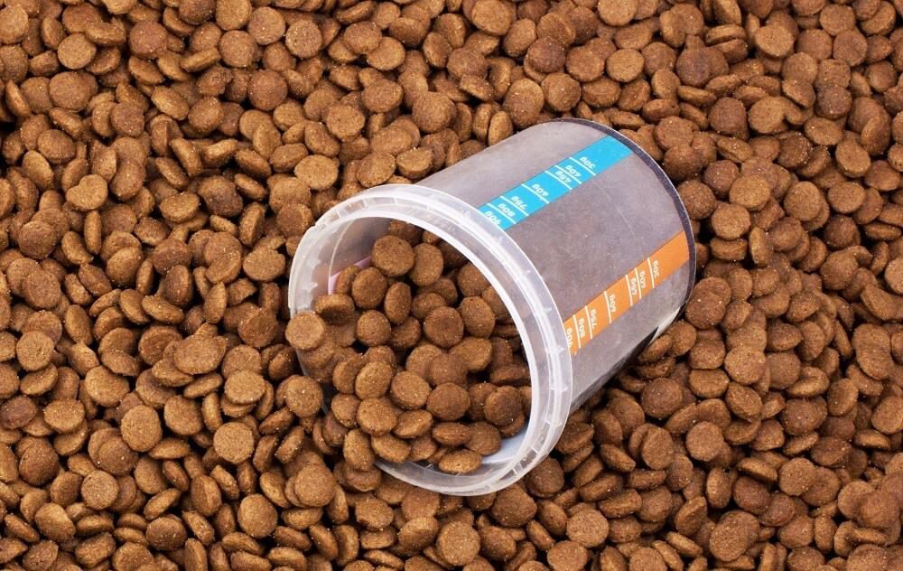 dog food with plastic cup in it