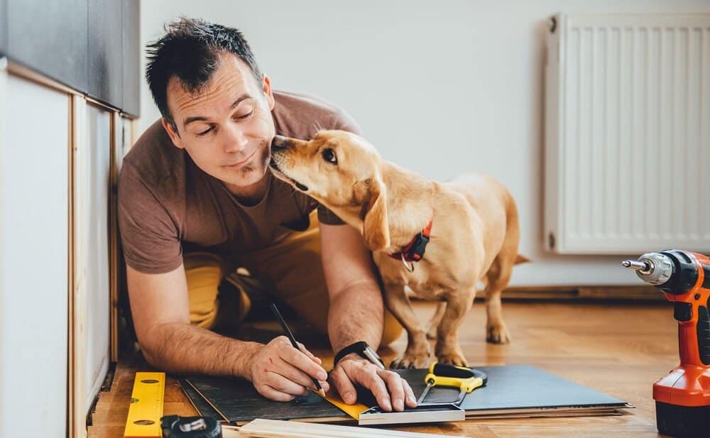 dog playing with man