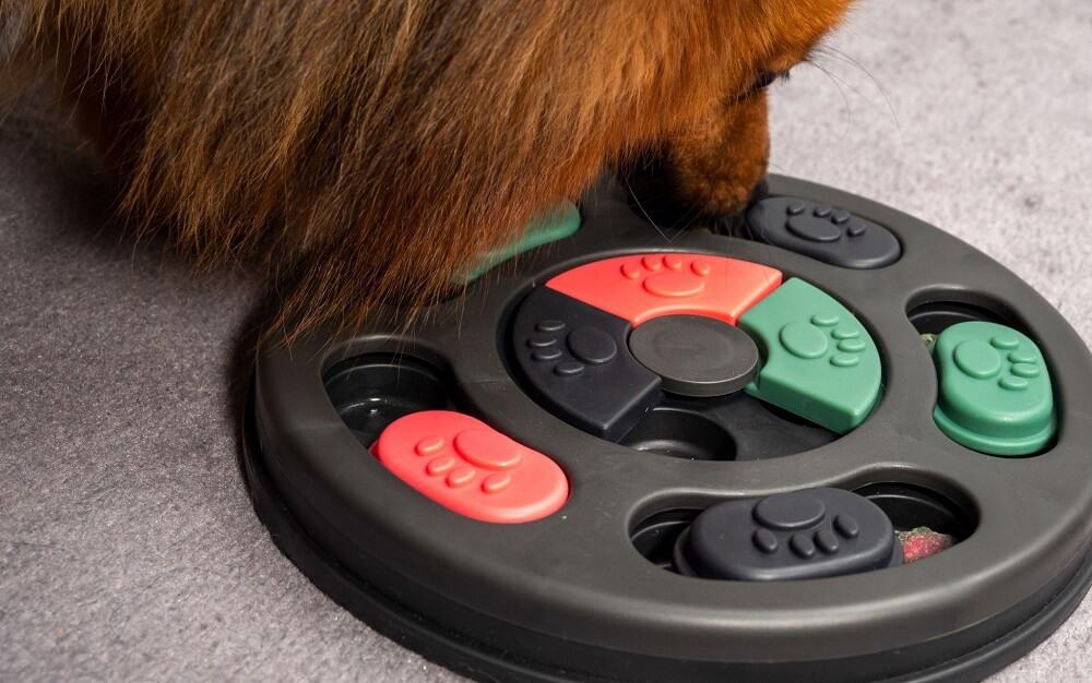 dog pressing treat toy