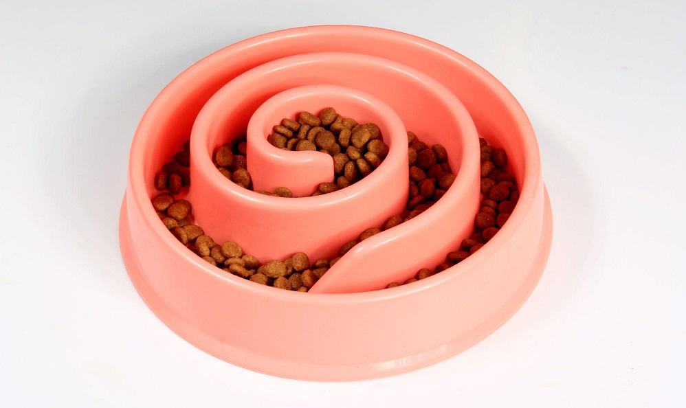 slow feeder bowl for pets