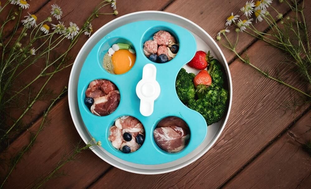 slow feeder bowl for pet with multiple columns